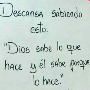 Meet your Posher, Elisa